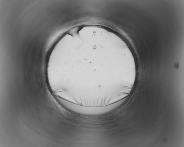 X0000116141464201001041022