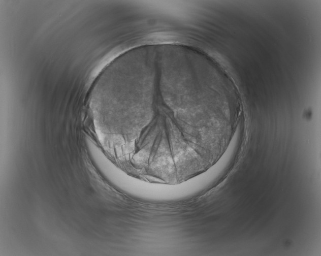 X0000116141465201001041022