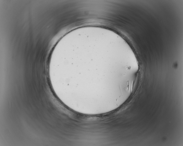 X0000116141467201001041022