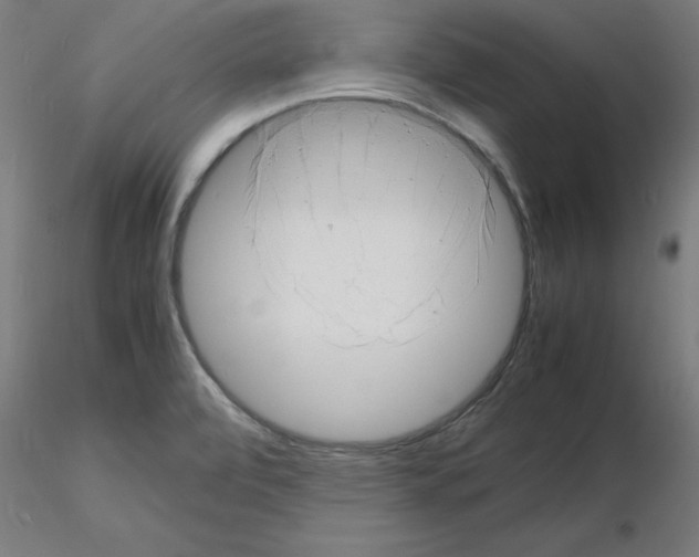 X0000116141472201001041022