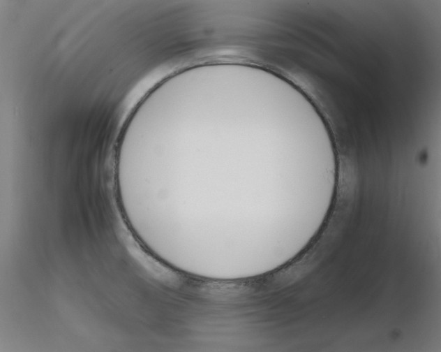 X0000116141474201001041022