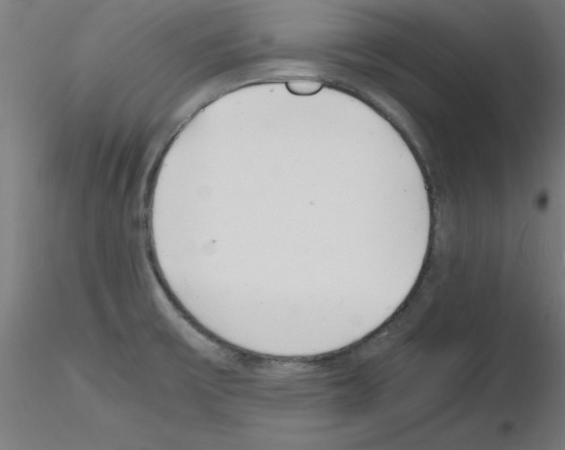 X0000116141475201001041022