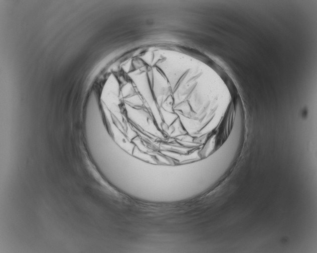 X0000116141477201001041022