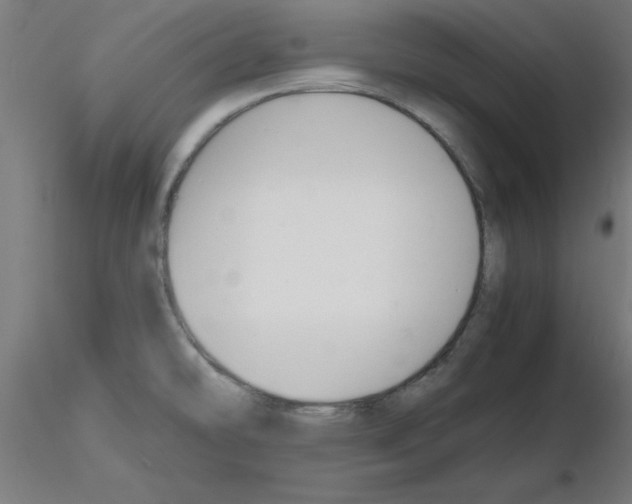 X0000116141478201001041022