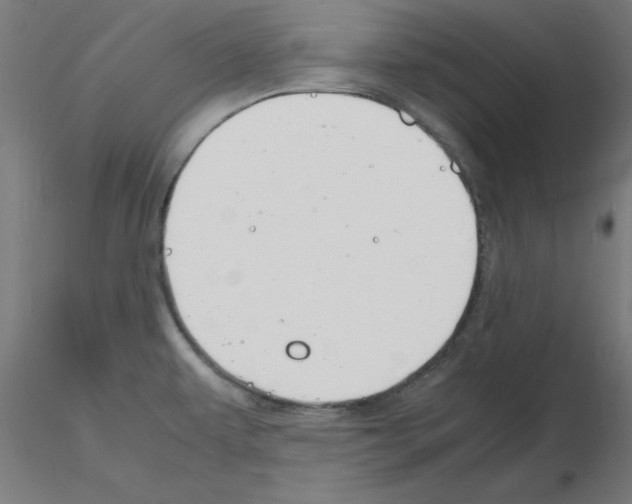 X0000116141479201001041022