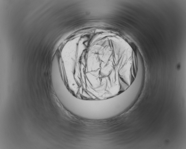 X0000116141481201001041022