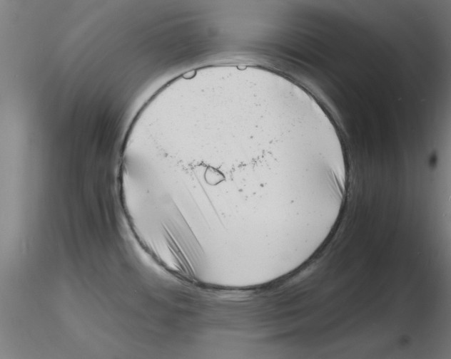 X0000116141484201001041022