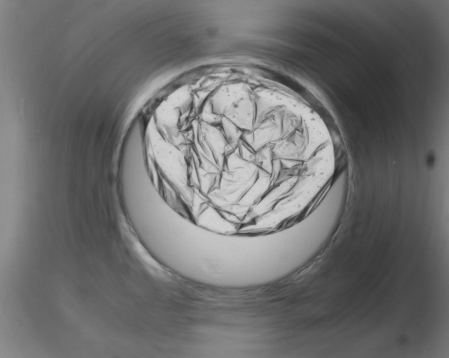 X0000116141485201001041022