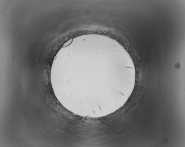 X0000116141493201001041021