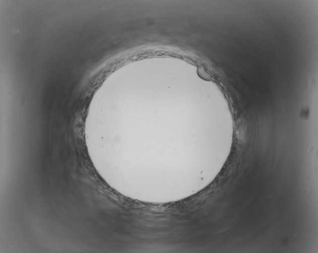 X0000116141495201001041021