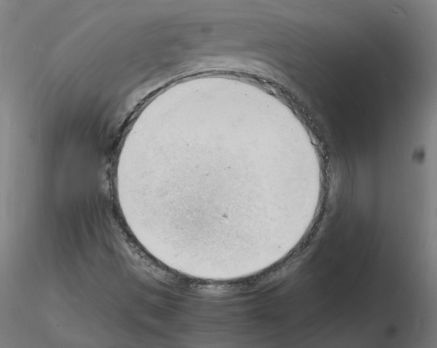 X0000116141497201001041021