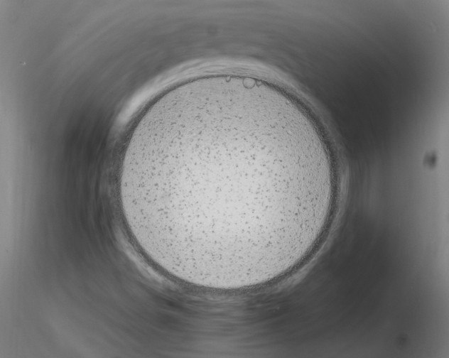 X0000116141498201001041021