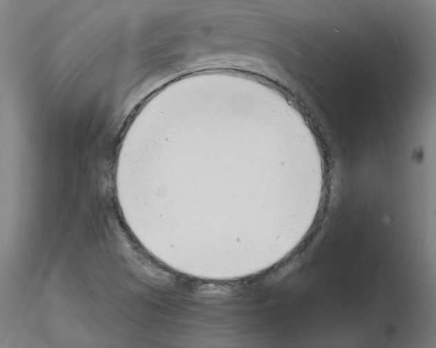 X0000116141505201001041021