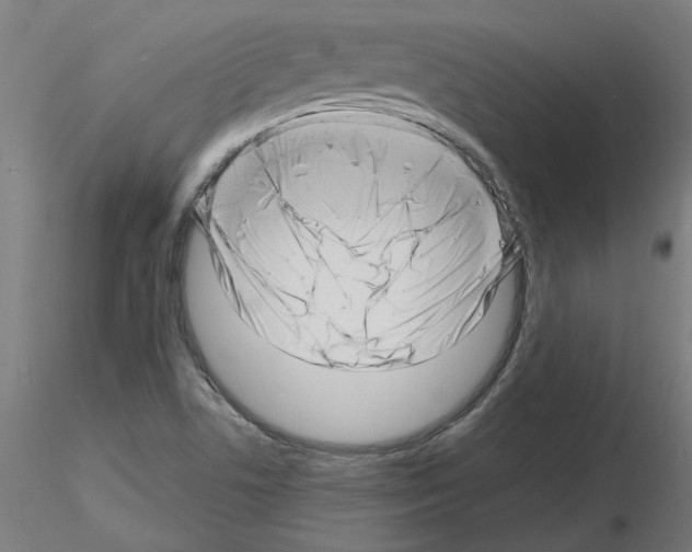 X0000116141506201001041021