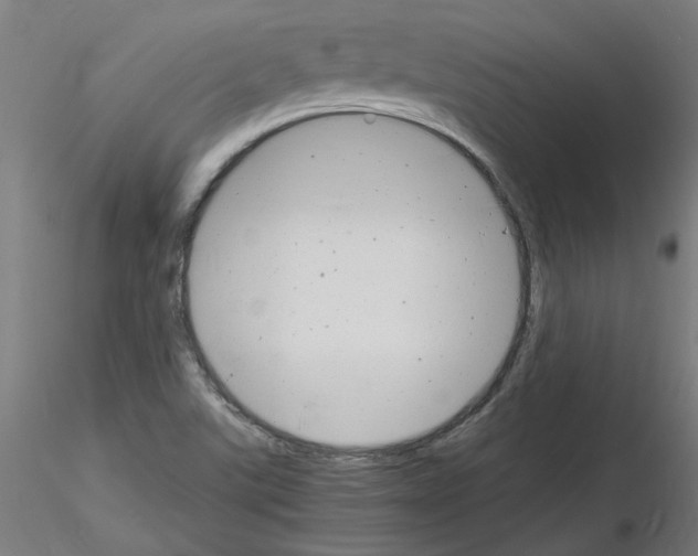 X0000116141507201001041021