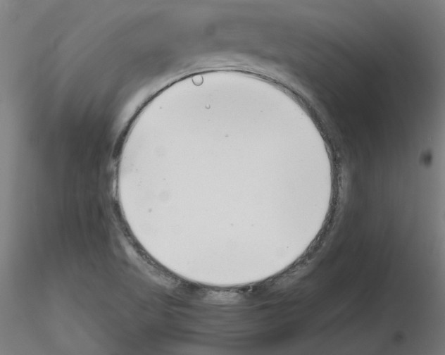 X0000116141509201001041021