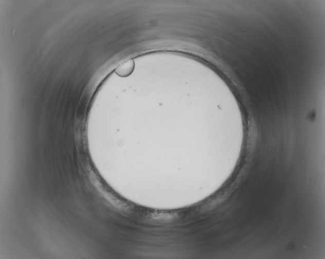 X0000116141513201001041021