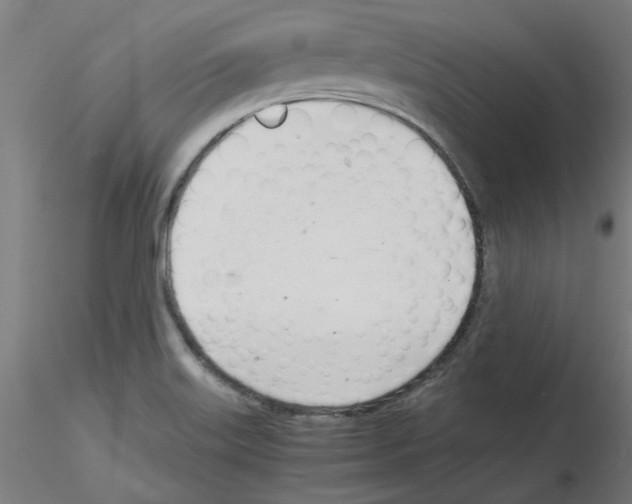 X0000116141515201001041021