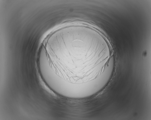 X0000116141518201001041022