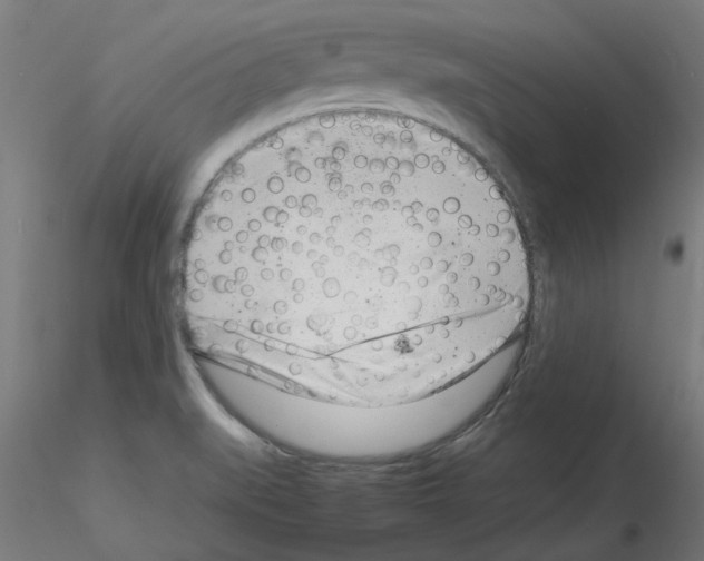 X0000116141519201001041022