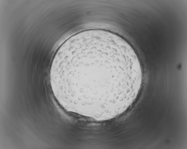 X0000116141521201001041022