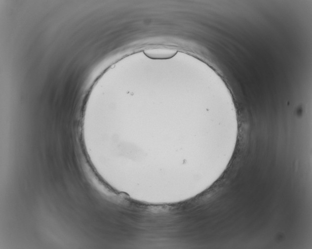 X0000116141523201001041022