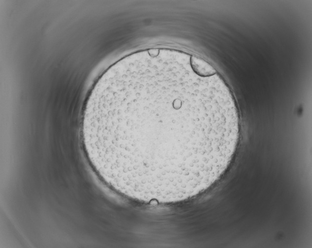 X0000116141525201001041022