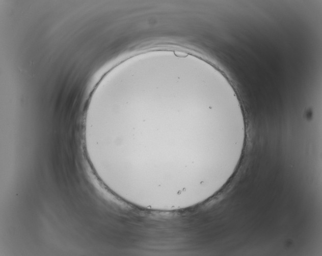 X0000116141526201001041022