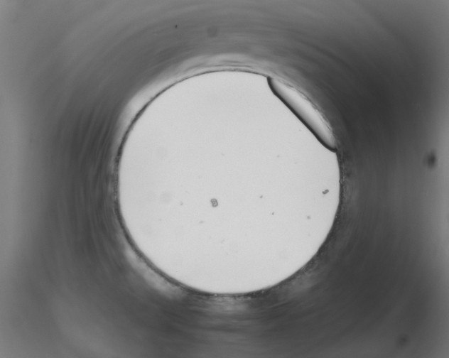 X0000116141527201001041022