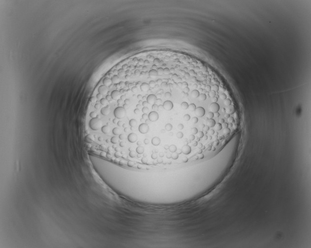 X0000116141529201001041022