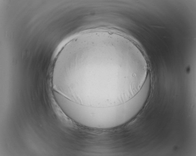 X0000116141530201001041022