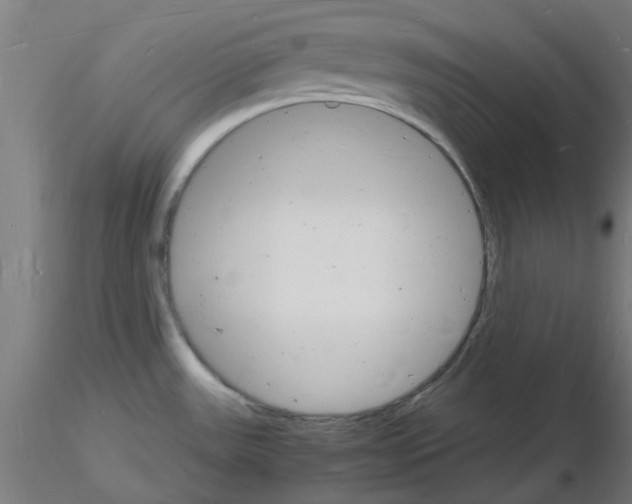 X0000116141531201001041022