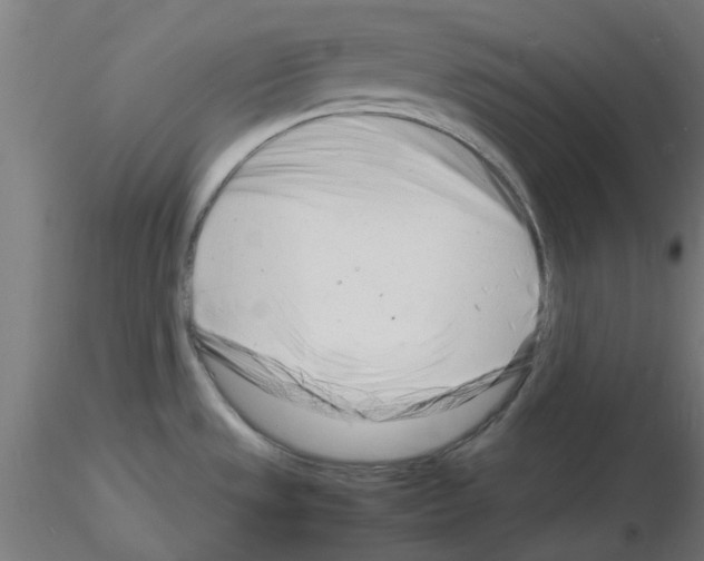 X0000116141533201001041022