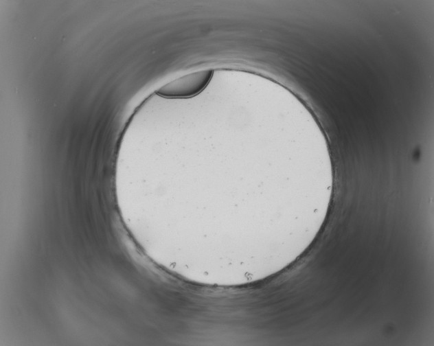 X0000116141534201001041022