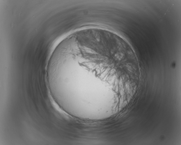 X0000116141535201001041022