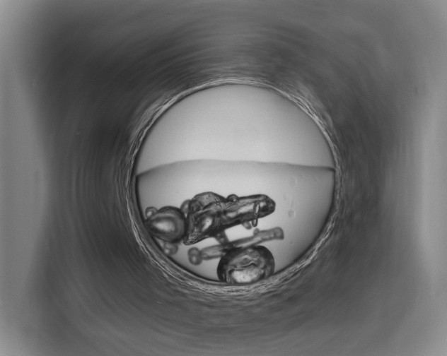 X0000116150001200911231001