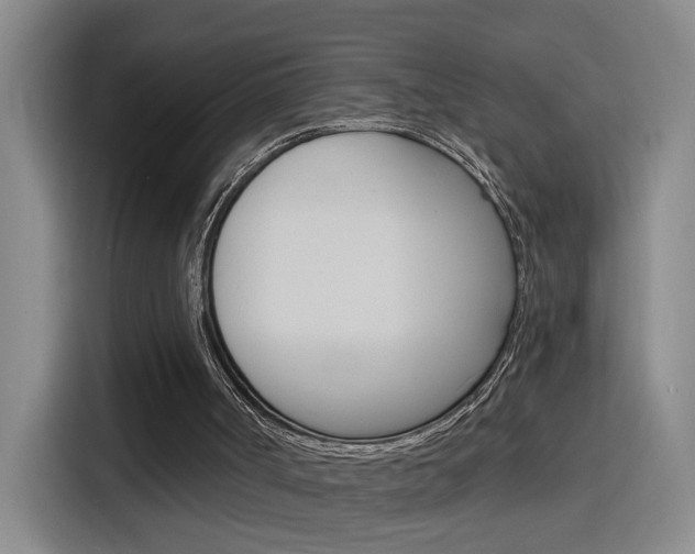 X0000116150002200911231001