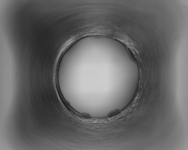 X0000116150003200911231001