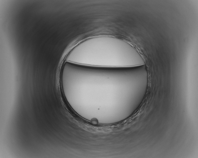 X0000116150004200911231001