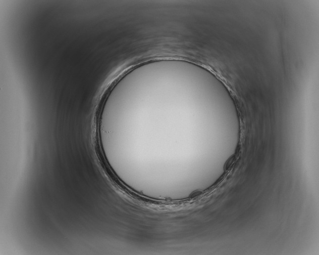 X0000116150005200911231001