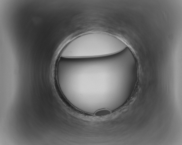 X0000116150007200911231001