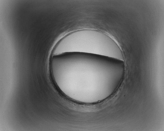 X0000116150008200911231001