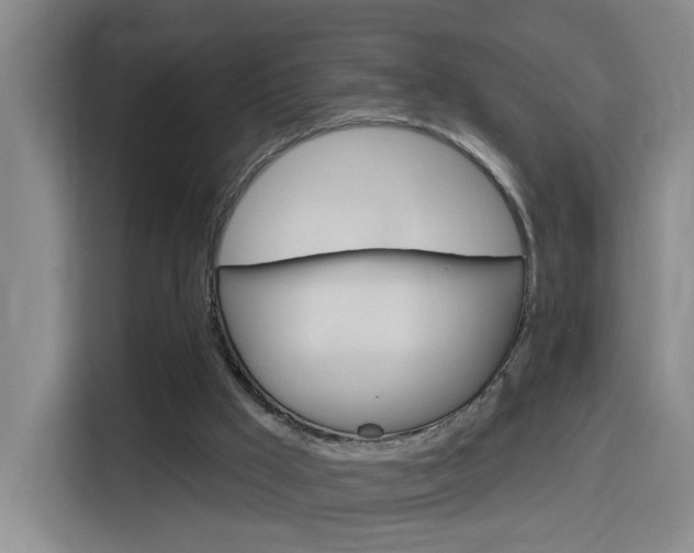 X0000116150009200911231001