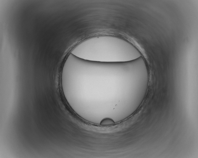 X0000116150010200911231001