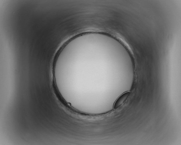 X0000116150011200911231001