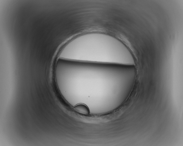 X0000116150012200911231001