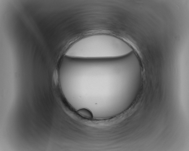 X0000116150013200911231001