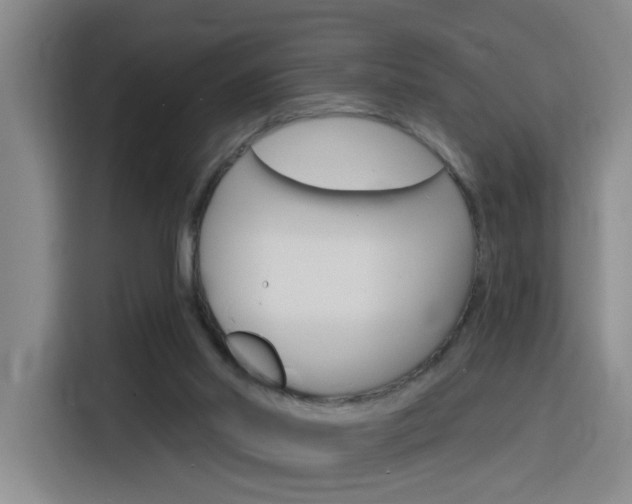 X0000116150014200911231001