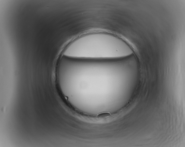 X0000116150015200911231001