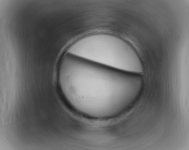 X0000116150016200911231001